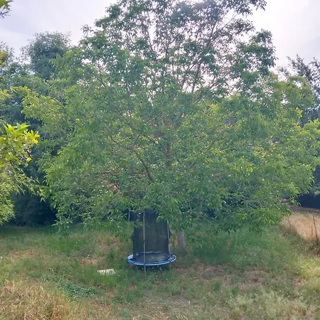 Naturaleza Anamaria